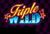 Triple Wild slot